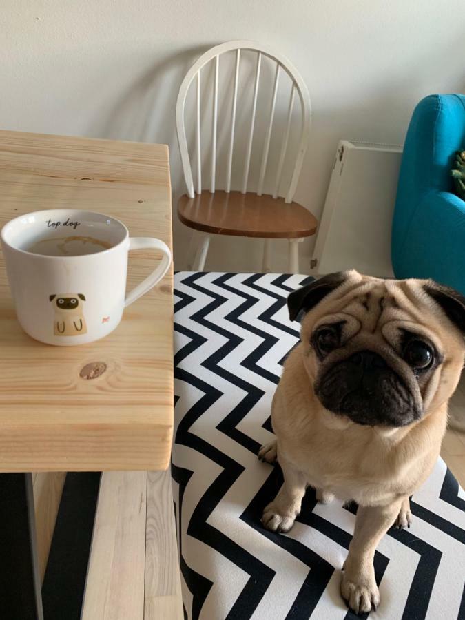 Cute Pug Guest Room Kopenhag Dış mekan fotoğraf